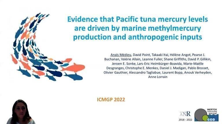 Evidence that Pacific tuna mercury levels are driven by marine methylmercury production and anthropogenic inputs